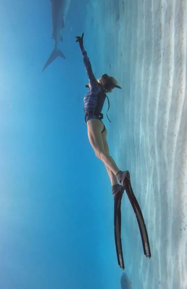 Just nonchalantly swimming with sharks, no big deal. Picture: Instagram