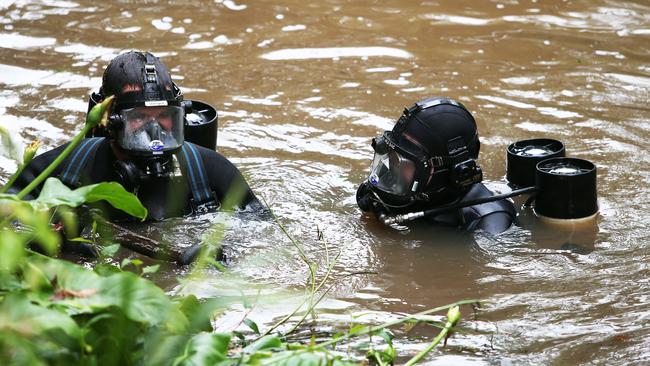 Police divers search a dam during a Strike Force Rosann hunt for William Tyrrell's remains near Kendall. Picture: NCA NewsWire / Peter Lorimer