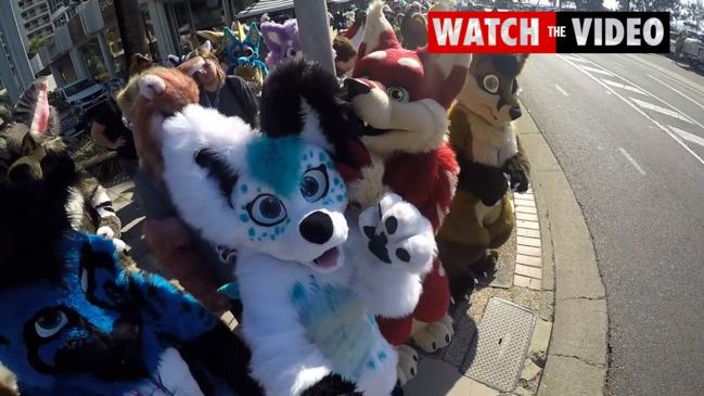 FurDu 2019 - I'm glad you came