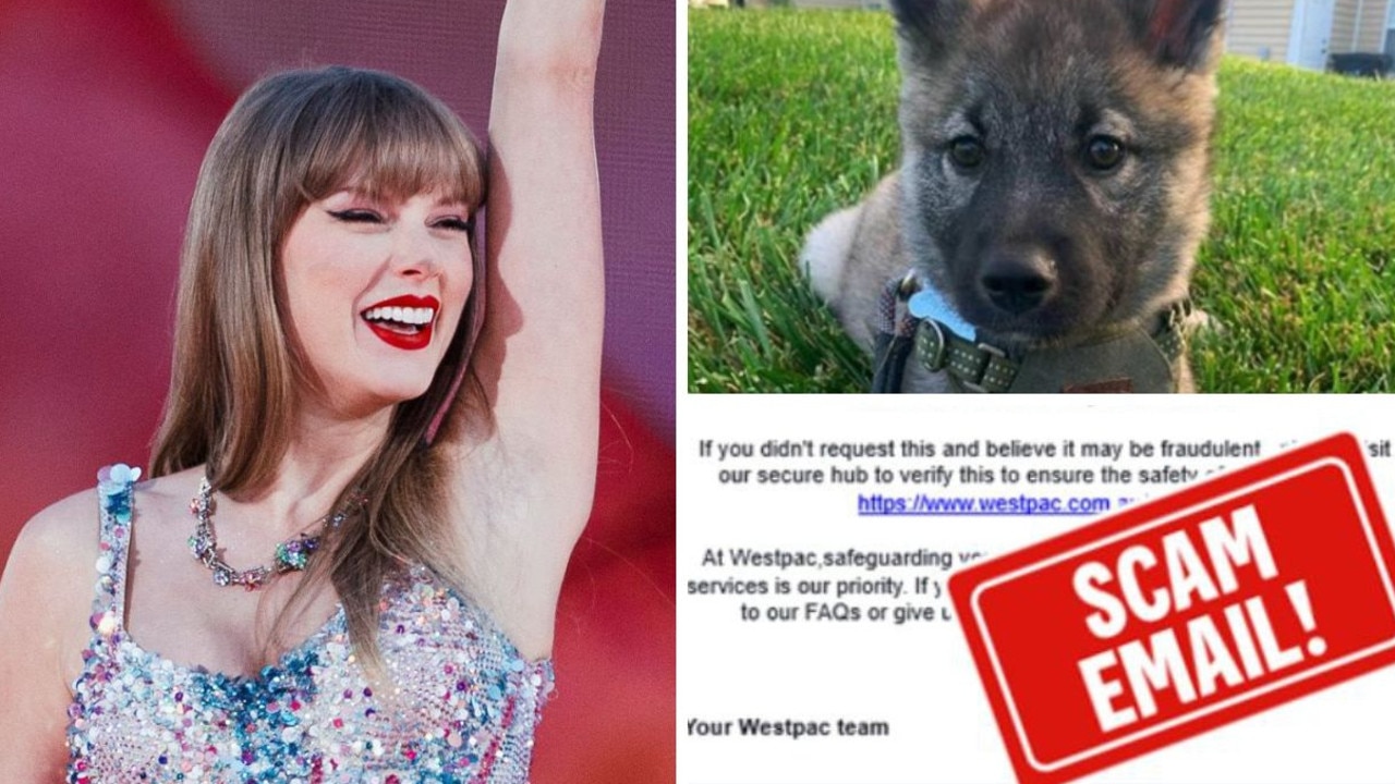 Fake Swift tickets, puppies: Aussie scam hotspots revealed