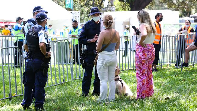 Police and a sniffer dog check members of the public as they arrive for the Field Day Music Festival. There is no suggestion the people in this pictures were in possession of drugs. Picture: Gaye Gerard