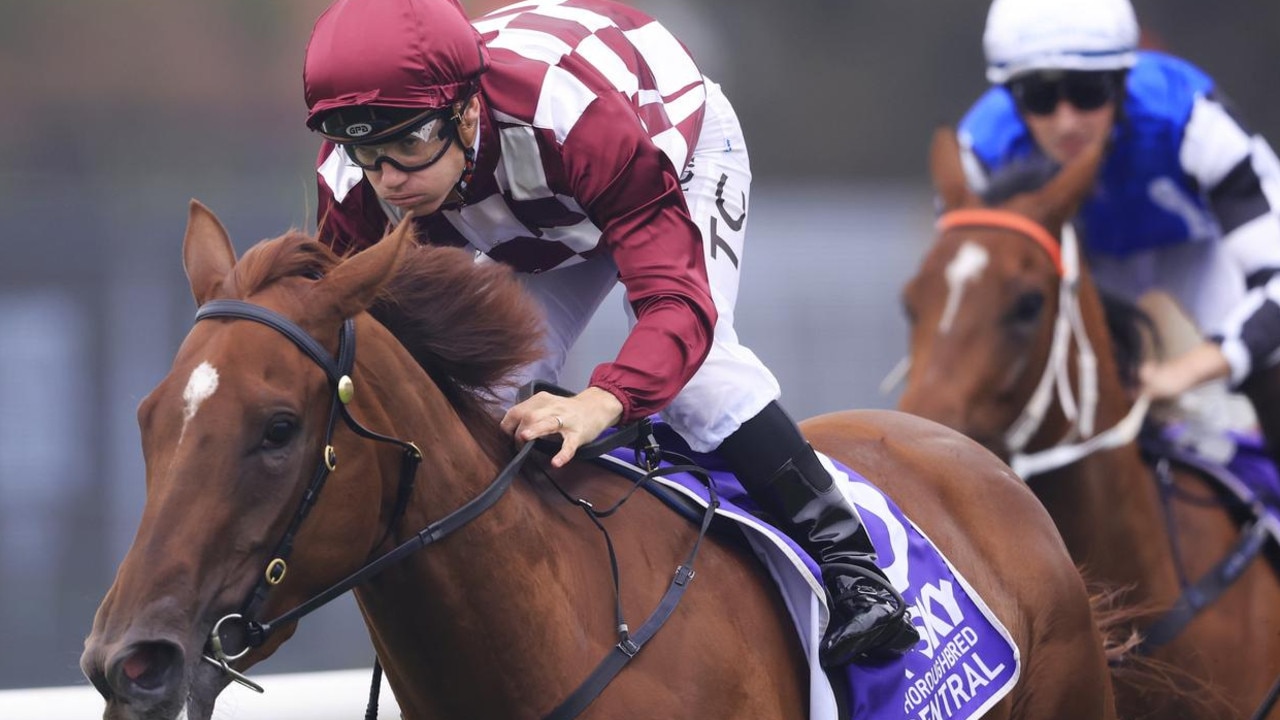 Tim Clark will pilot Shihonka in Saturday's Magic Millions 3YO Guineas. Picture: Mark Evans–Getty Images