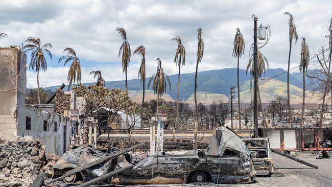 Burned palm trees and destroyed cars and buildings in the aftermath of a wildfire in Lahaina, western Maui. Picture: AFP