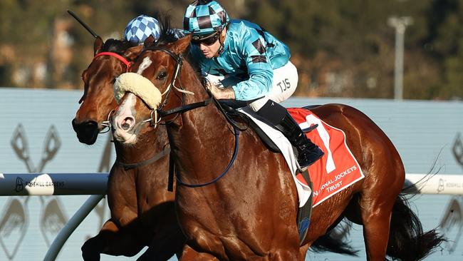 Williamsburg breaks back into the winners’ circle as a gelding at Rosehill. Picture: Jeremy Ng/Getty Images