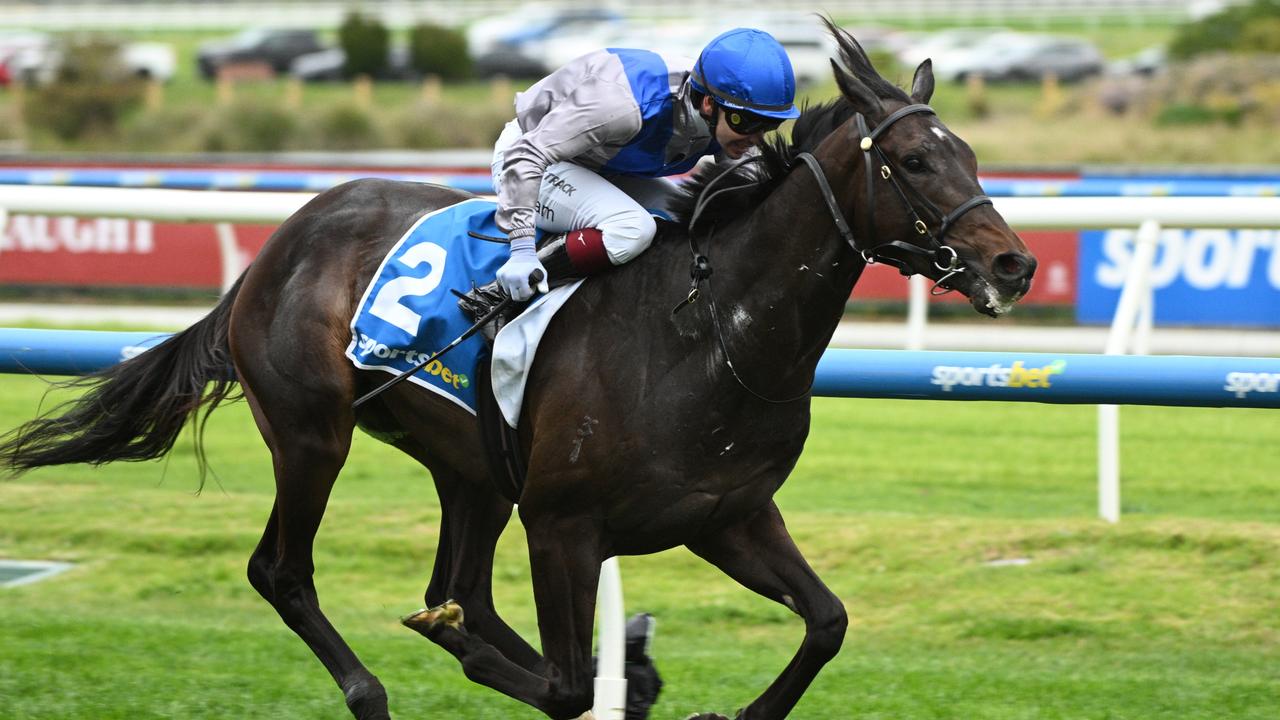 Could Angel Capital contest the Stradbroke first up? Picture: Vince Caligiuri/Getty Images