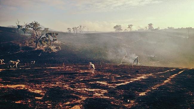 The view on the Pape family farm in the aftermath of the fire.