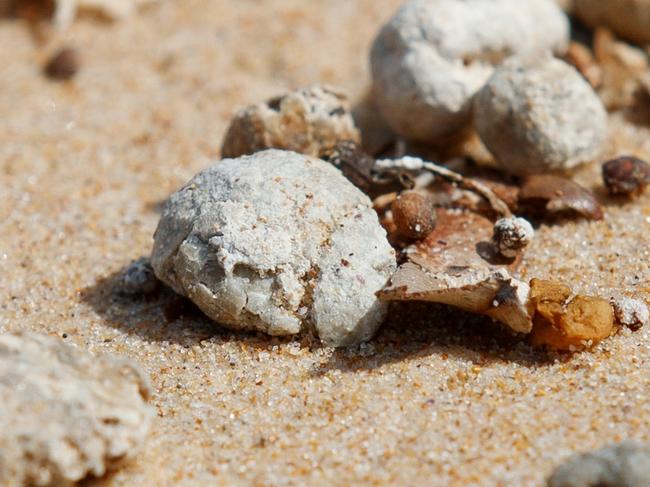 Mystery grey balls on Dee Why Beach on Tuesday afternoon. Nine beaches are closed across the Northern Beaches after white/grey, ball-shaped debris was found washed up along the shore. Picture: NewsWire / Nikki Short