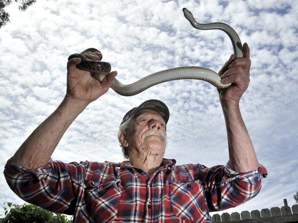 Si the snake catcher - Daily Leader