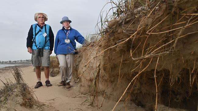 David and Sue Thorn of Victor Harbor volunteer to monitor the beach-nesting hooded plovers, with erosion at Middleton caused an introduced grass. Picture: Keryn Stevens