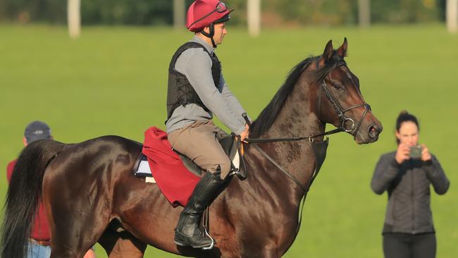 Irish sprinter Ten Sovereigns adds X-factor to The Everest. Picture: Getty Images