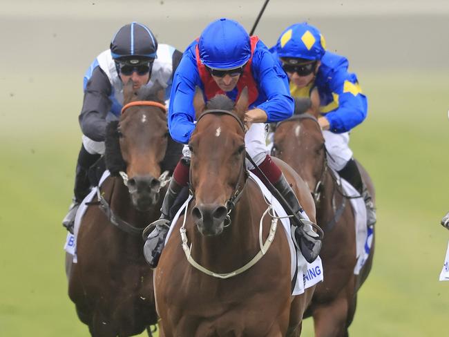 NEWCASTLE, AUSTRALIA - NOVEMBER 13: Hugh Bowman on Lost And Running wins race 8 the Hunter during Sydney Racing at Newcastle Racecourse on November 13, 2021 in Newcastle, Australia. (Photo by Mark Evans/Getty Images)