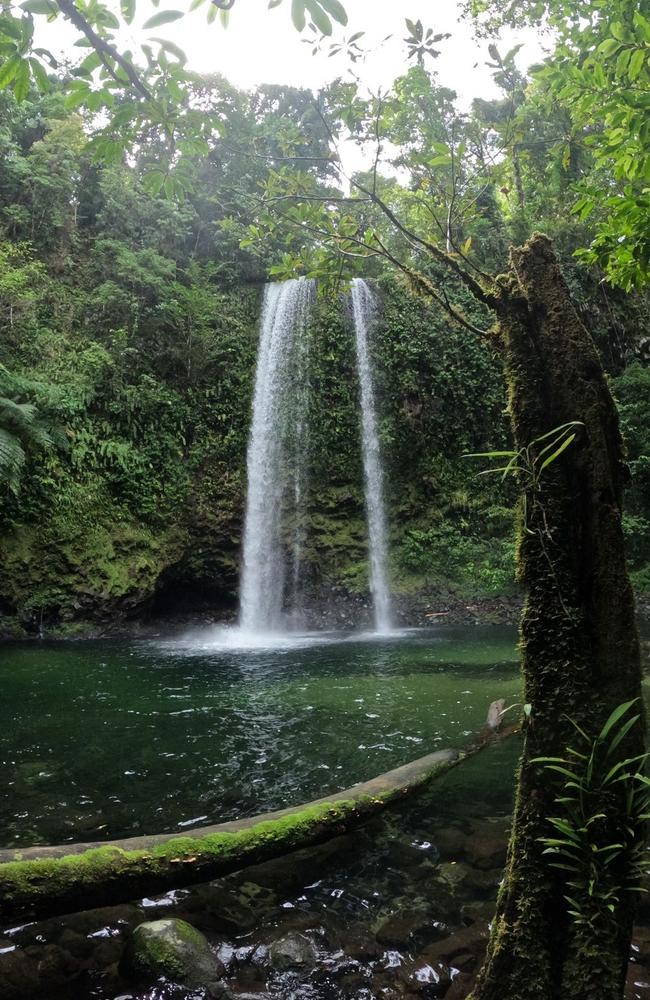 Wankaroo Falls in Wooroonooran National Park is only accessible by a three to six hour muddy hike. Picture: All Trails / Merc Ayris