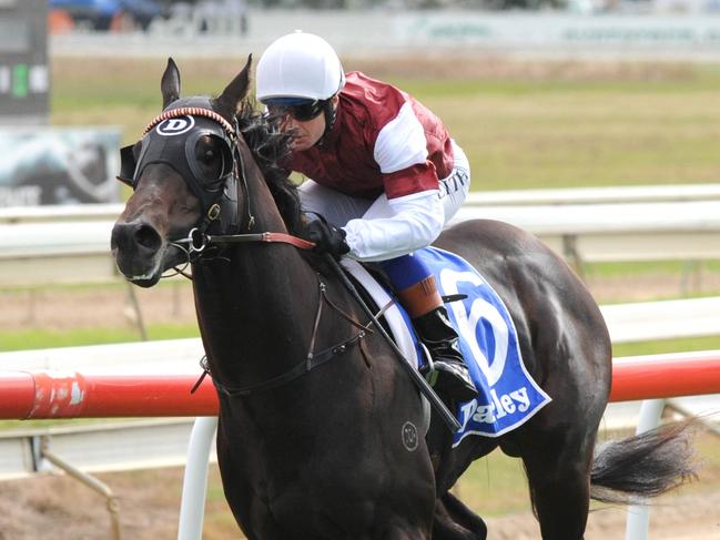 Photographs; Simon Bullard. Race 2 - 1:00PM EVERGREEN TURF CLARET STAKES (1300 METRES). Winner 'Meursault' ridden by Christian reith.