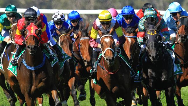 Loving home ridden by Tye Angland  (yellow cap, maroon with yellow armbands) wins race 1 during Scone  Races located in the Upper Hunter Region of NSW. The Bend . Pic Jenny Evans