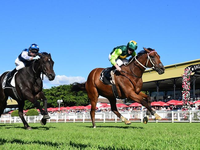 Yellow Brick moves to within touching distance of scoring a spot in the Group 1 Stradbroke Handicap with his win at Eagle Farm on Saturday. Picture: Grant Peters / Trackside Photography