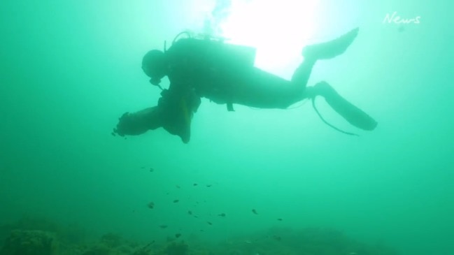 Windara Reef near Ardrossan