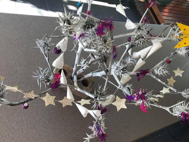 Christmas tree made of dead thistle bush, Cornubia. Credit: Katrina Fay Goldsworthy