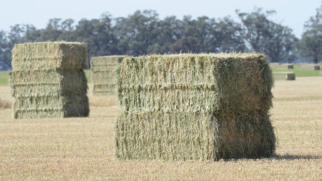 Seasonal factors are affecting hay growth and supply.