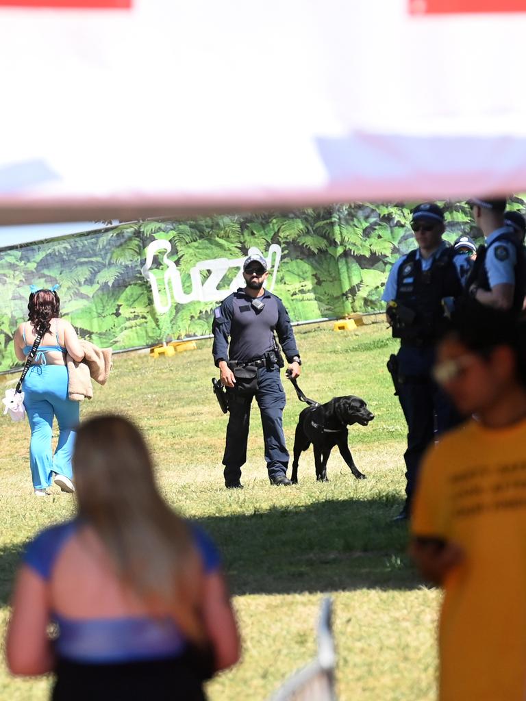 Strip searching tents were set up inside Listen Out festival. Picture: NCA NewsWire/Jeremy Piper