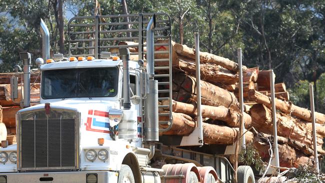 The closure of the Nangwarry timber mill has cost 26 employees their jobs.