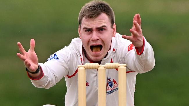 Port Melbourne’s captain Ryan McDonald appeals during the VSDCA match against Brighton on Saturday. Picture: Andy Brownbill