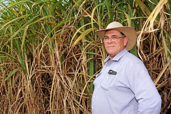 HITTING BACK: Bundaberg Canegrowers manager Dale Holliss. Picture: CONTRIBUTED