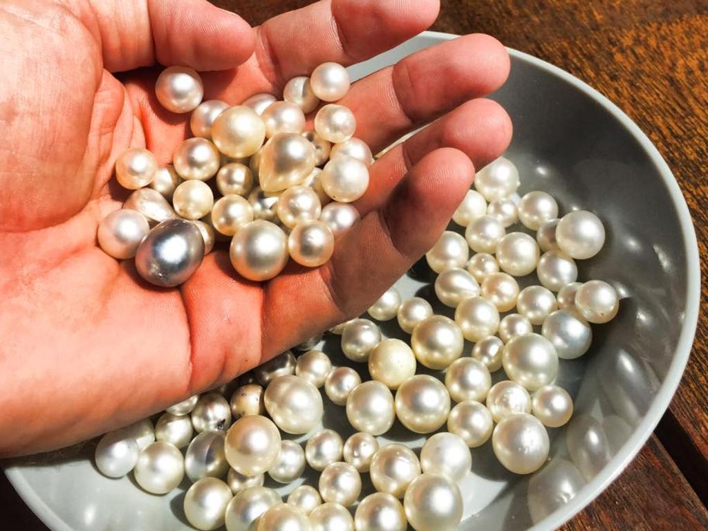 Treasures, big and small, in the Kimberley
