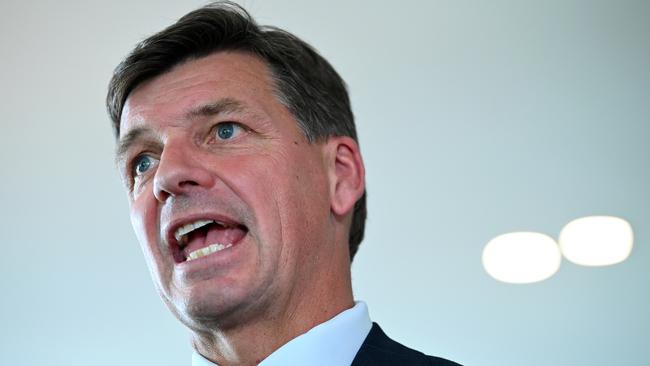 Energy Minister Angus Taylor. Picture: AAP