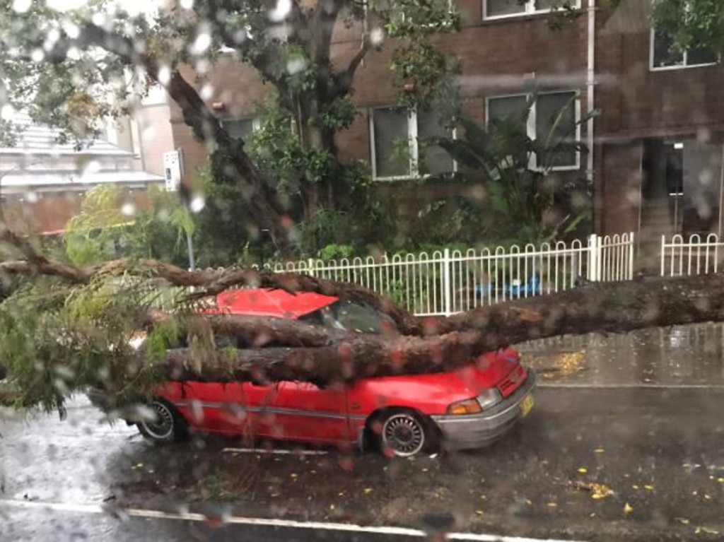 Sydney gets hit by torrential rain, 28/11/18. Marion St Leichhardt. Photo: twitter/ @divingdingo https://twitter.com/divingdingo