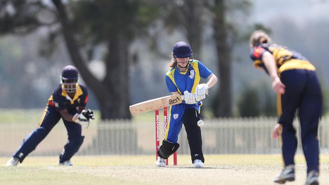 Southern District batting. Picture: Sue Graham