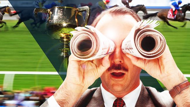 The 2017 Melbourne Cup: Why your horse can and can’t win.