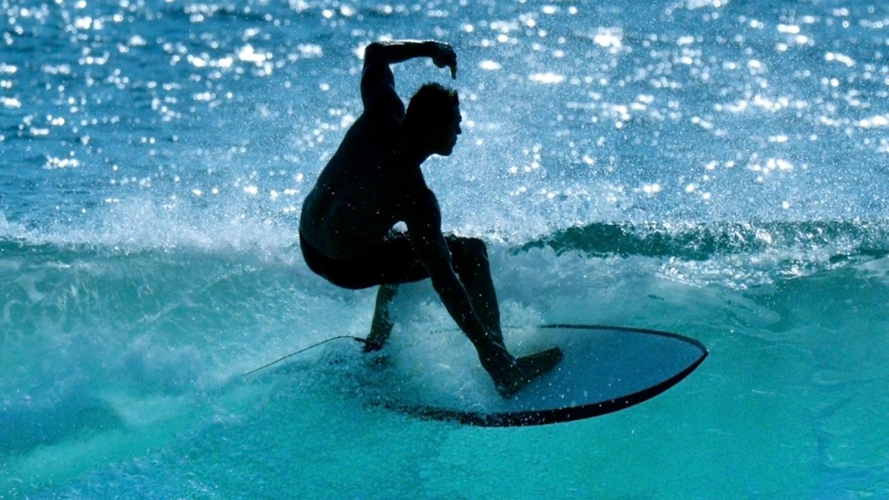 Probe launched amid turmoil in major surfing organisation