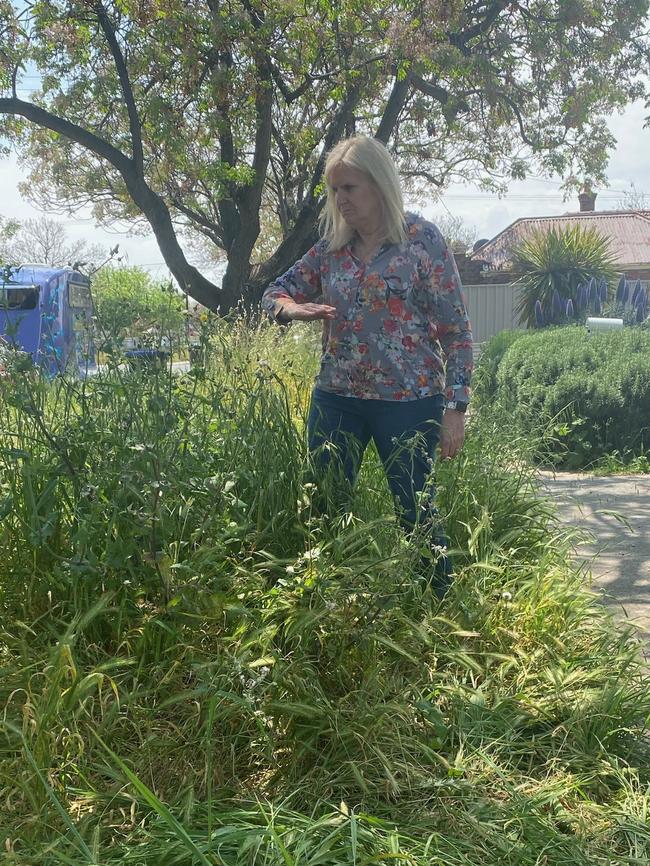 Barbara Graham shows the overgrown grass in her Woodville street.