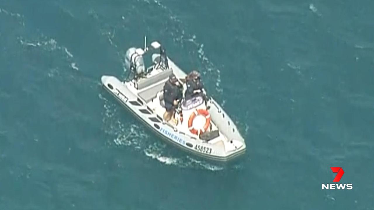 Fisheries staff search the area where a surfer was mauled in a shark attack south of Streaky Bay. Picture: 7NEWS