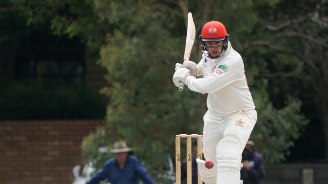 Swans bat Chris Benedek struck 40. Picture: Valeriu Campan