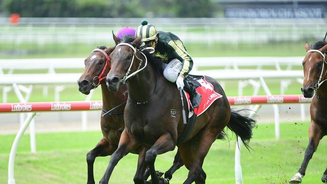 Oceans Of Energy is lining up in the Group 1 Queensland Oaks. Picture: Grant Peters, Trackside Photography