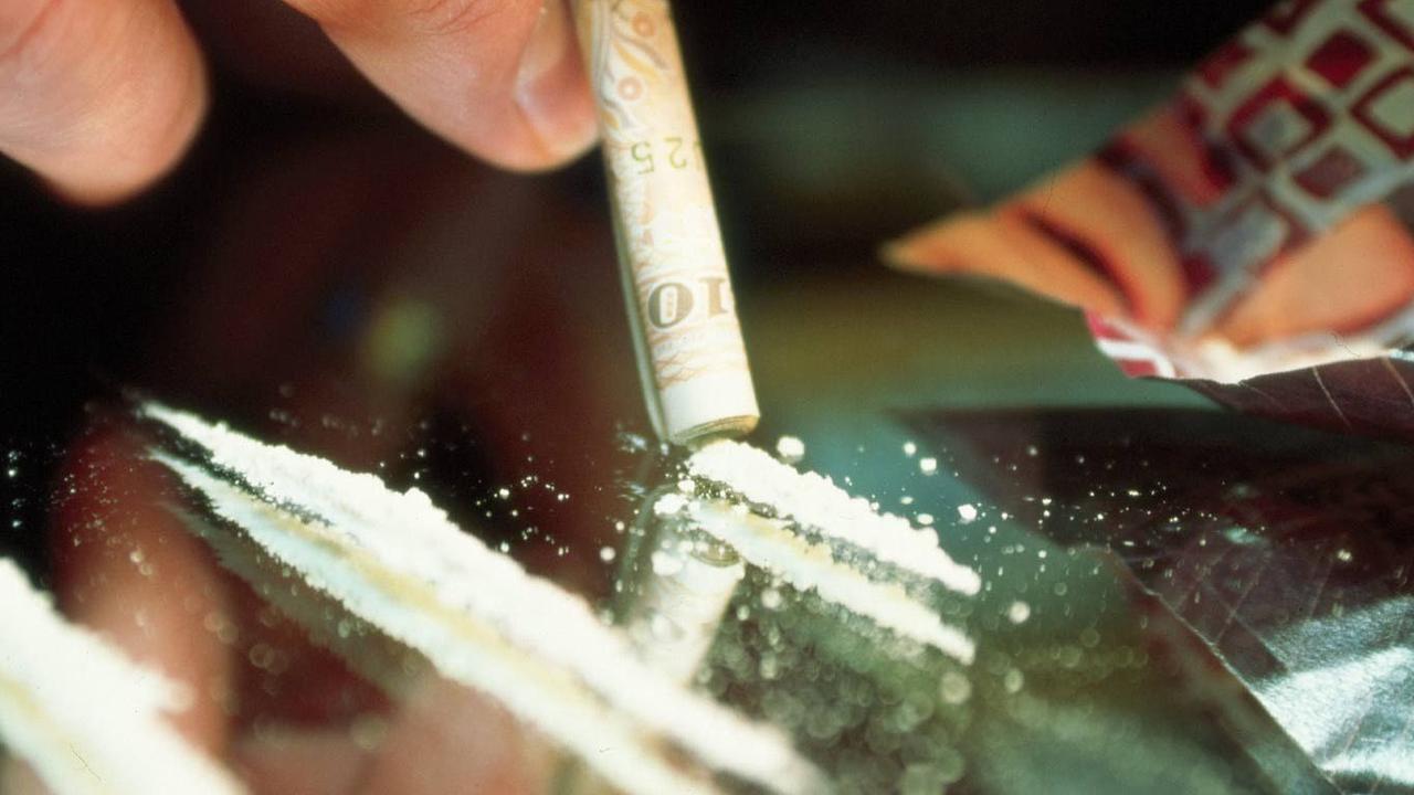 What scientists learned from rats given cocaine in study on addiction ...