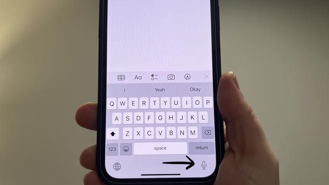 If you’ve missed the ‘voice dictation’ feature, you’ll be kicking yourself. Picture: Elly Awesome