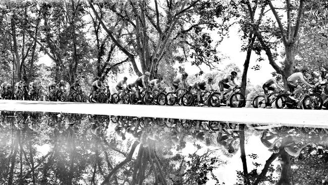 Herald Sun Tour. Stage 5 around the Botanic Gardens. Picture: Michael Klein