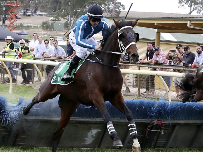 Rob David rides Casiraghi to victory in the Thomas Farms Classic Hurdle at Oakbank. Picture Sarah Reed