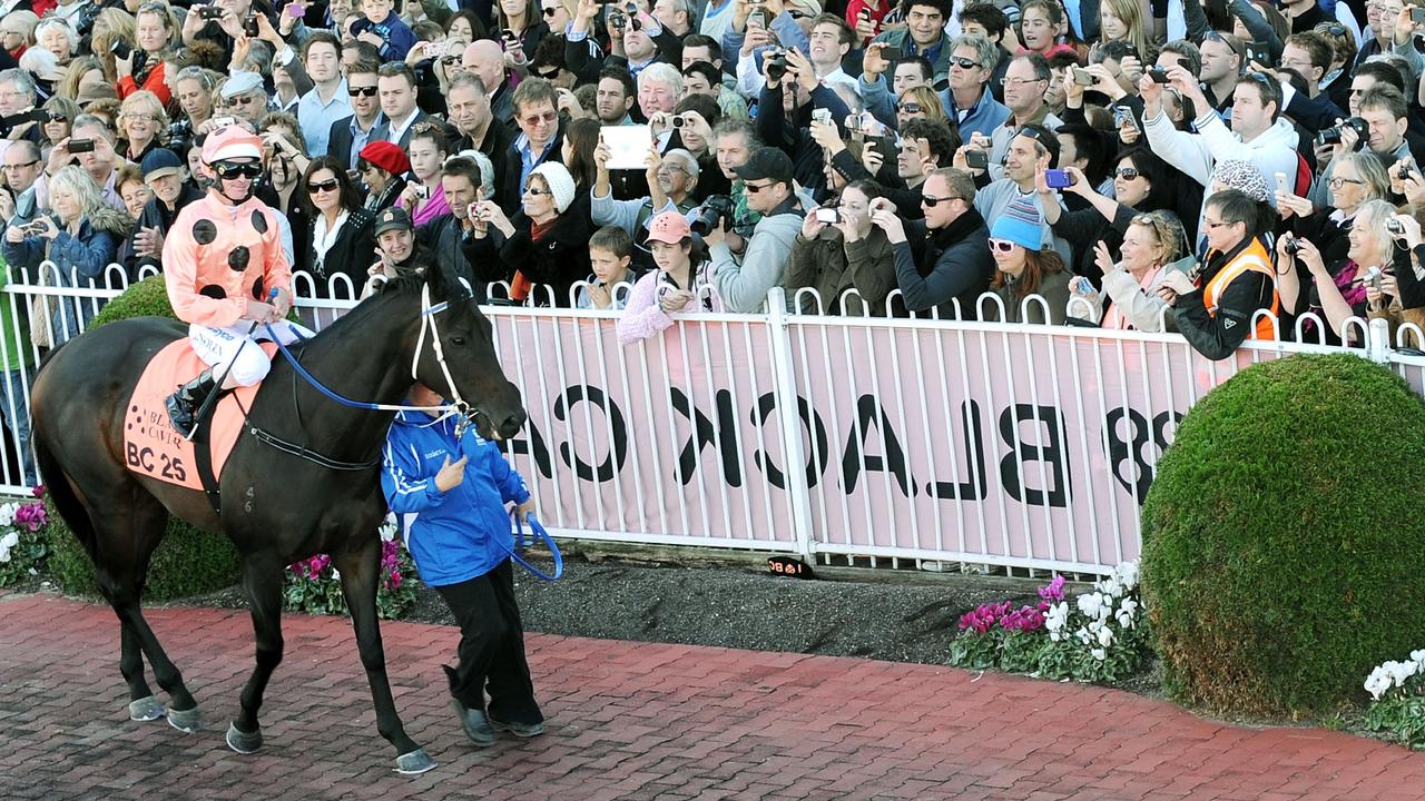 Marnie and Tony Haydon were part of the success of Australian champion thoroughbred racehorse Black Caviar, who went undefeated in 25 races, including 15 Group Ones. Picture: Vince Caligiuri.