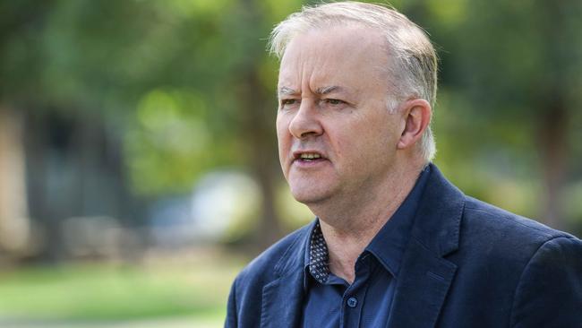 Opposition Leader Anthony Albanese says the fund will help boost the economy. Picture: NCA NewsWire/Flavio Brancaleone