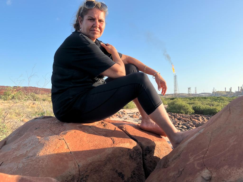 Activist makes final plea to new minister on North West Shelf