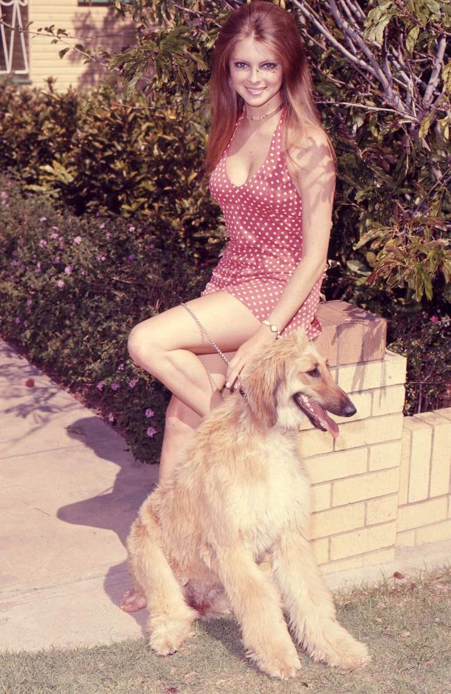 Delvene Delaney, who was as a Gold Coast Golden Girl in 1971 and went on to be co-host of Sale of the Century from 1982 to 1986, is pictured with her Afghan hound Sacha. Picture: Ted Holliday