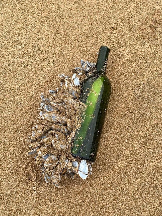 Insane Message In A Bottle Washes Up On A Beach After 16 Years At Sea