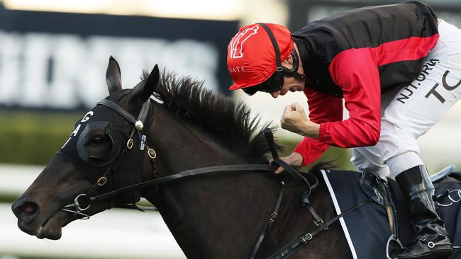 Con Te Partiro scored two Group 1 wins in the autumn, including the Coolmore Legacy Stakes. Picture: Getty Images