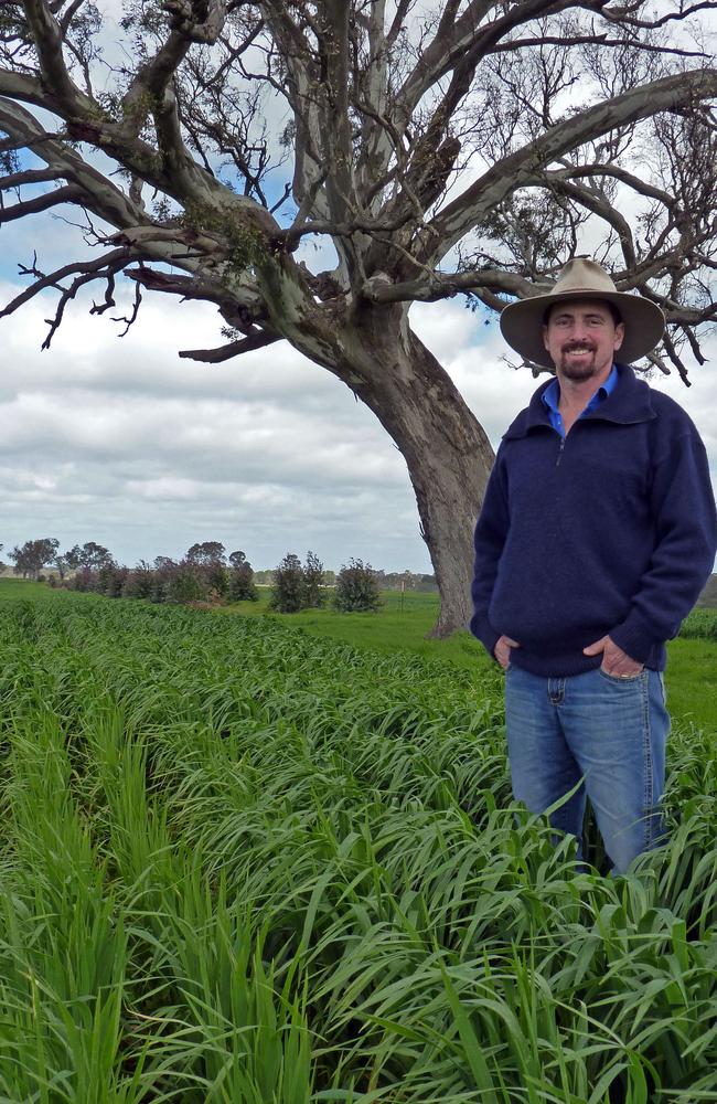 Fresh start: Karl Price stands in one of the paddocks that grew bluegum trees. Picture: Kate Dowler