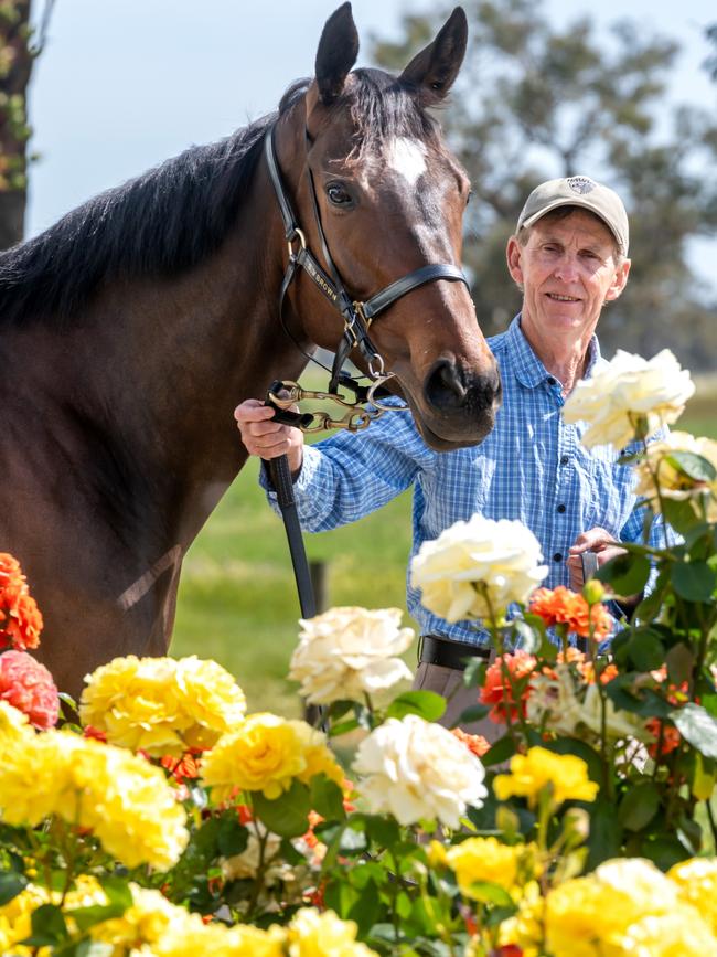 Lady Jones won the Sale heat of the Melbourne Cup Carnival Country Series. Picture: Jay Town