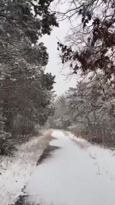 Snow Turns Texas Park Into Winter Wonderland