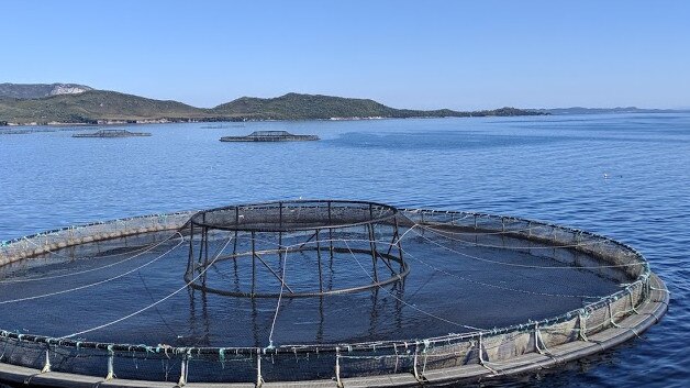 Salmon pens in Macquarie Harbour, on Tasmania's West Coast, which could be banned.